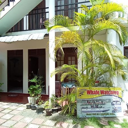 Mila Rest Garden Mirissa Exterior foto